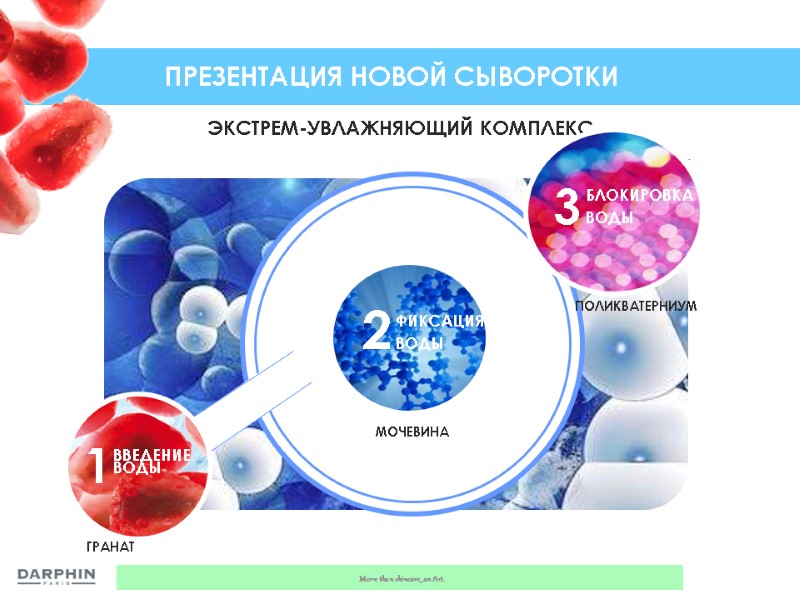 ЭКСТРЕМ-УВЛАЖНЯЮЩИЙ КОМПЛЕКС ПРЕЗЕНТАЦИЯ НОВОЙ СЫВОРОТКИ 1 2 3 ВВЕДЕНИЕ ВОДЫ ФИКСАЦИЯ ВОДЫ БЛОКИРОВКА ВОДЫ